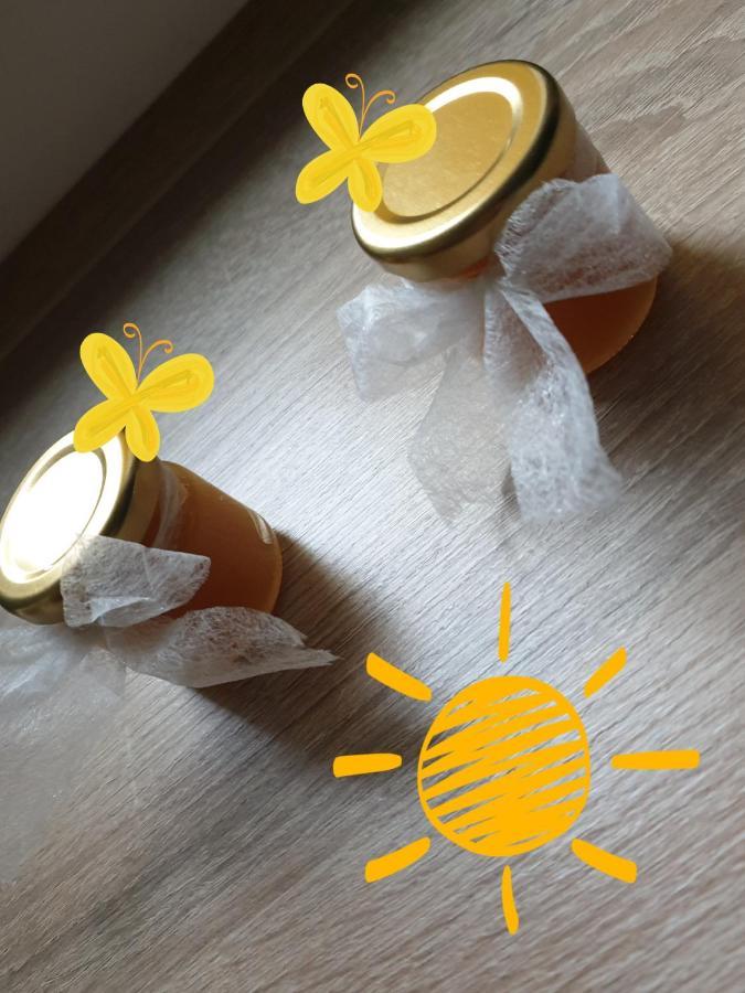 Sweet Honey Mieszkanie W Plocku Lägenhet Exteriör bild